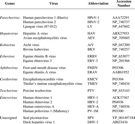 picornavirus classification